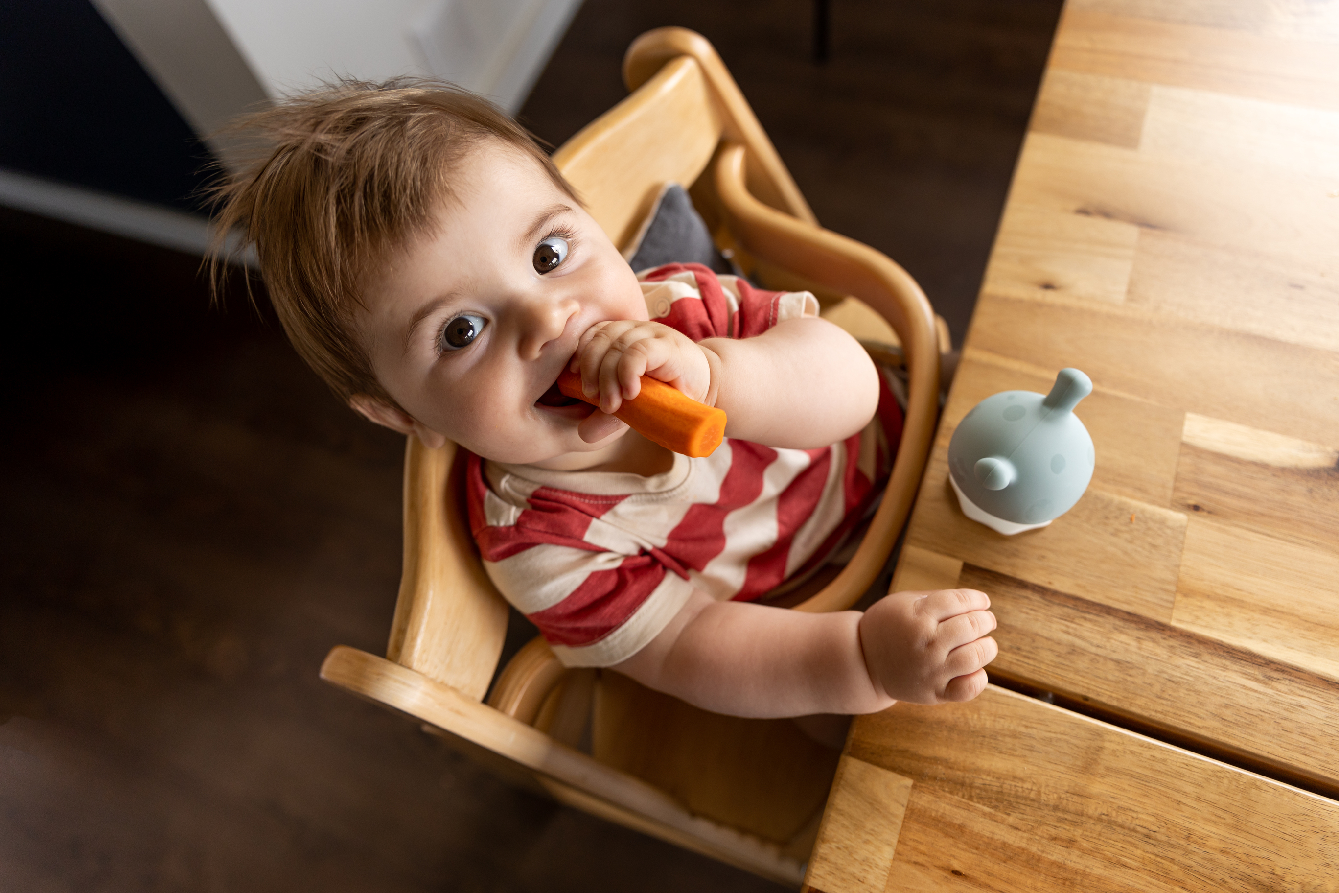 mama sandalyesinde havuç yiyen bebek mama sandalyesinde havuç yiyen bebek